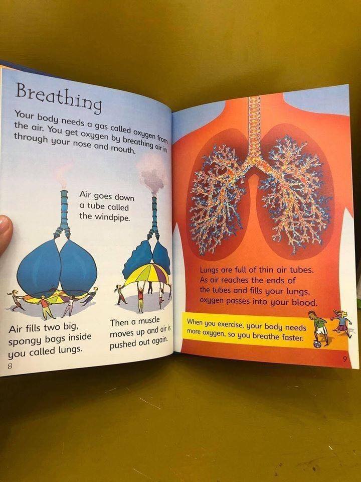Usborne beginners Science bộ 10 quyển