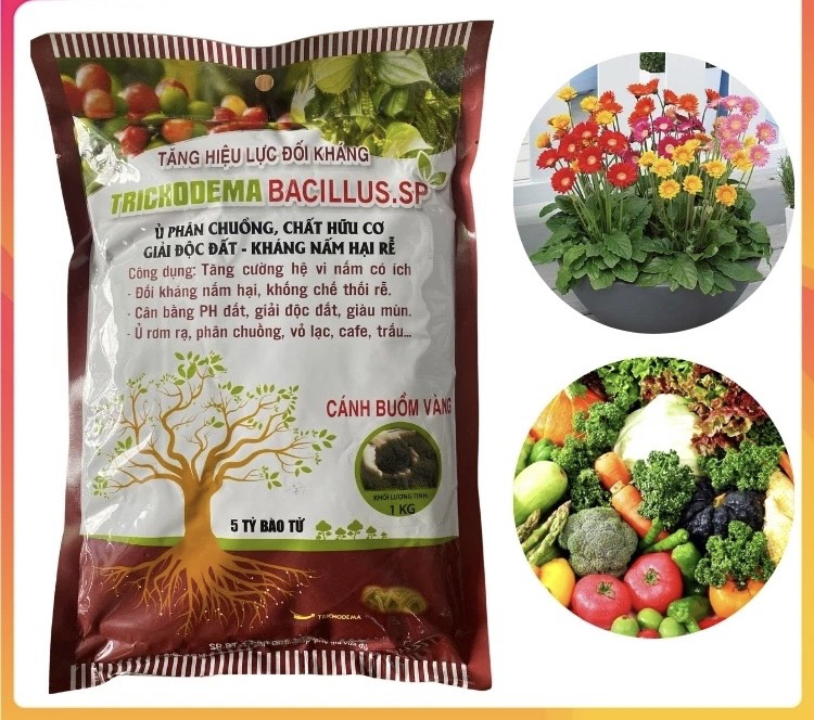 Nấm đối kháng trichoderma-bacillus cánh buồm vàng ủ phân chuồng, chất hữu cơ giải độc đất - kháng nấm hại rễ