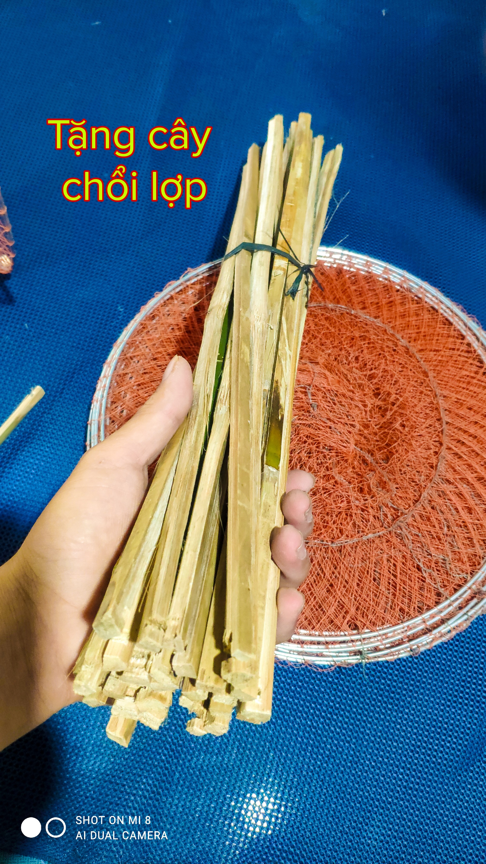 Extremely Effective Trap for Stingray, Perch, Tilapia, and Eel.