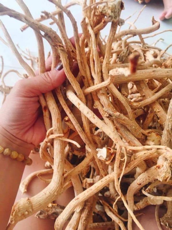2kg rễ đinh lăng khô