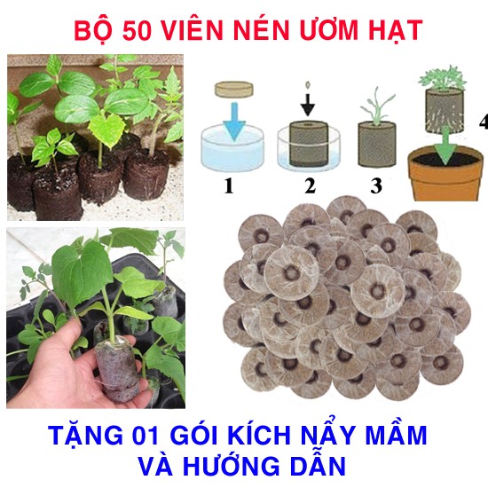 50 Viên nén ươm hạt (tặng kích mầm)