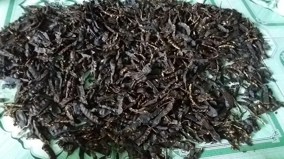 trái bồ kêt khô -500G NƯỚNG