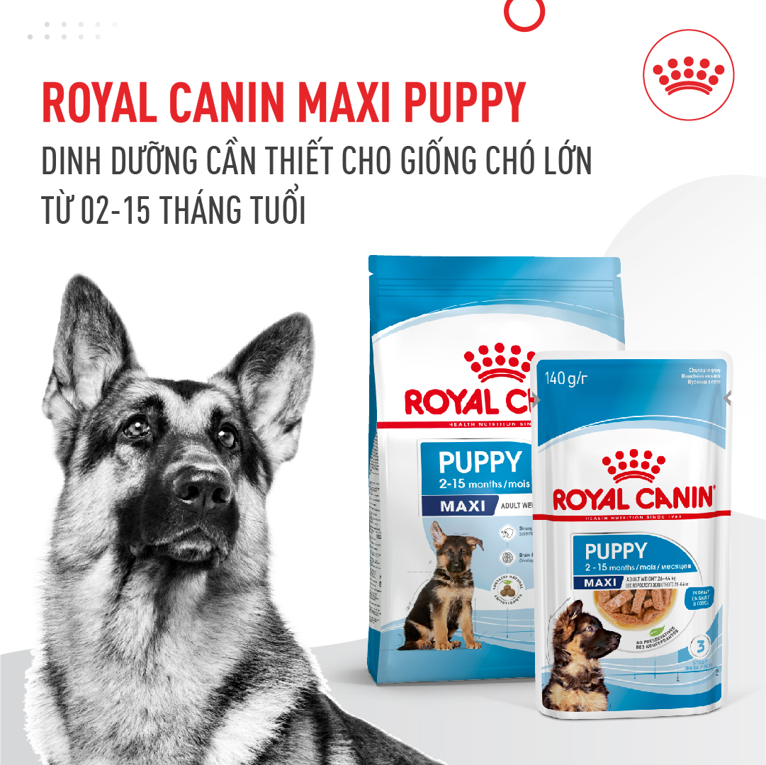 Royal Canin Maxi Puppy 10kg thức ăn cho chó con dưới 15 tháng tuổi sản xuất tại pháp
