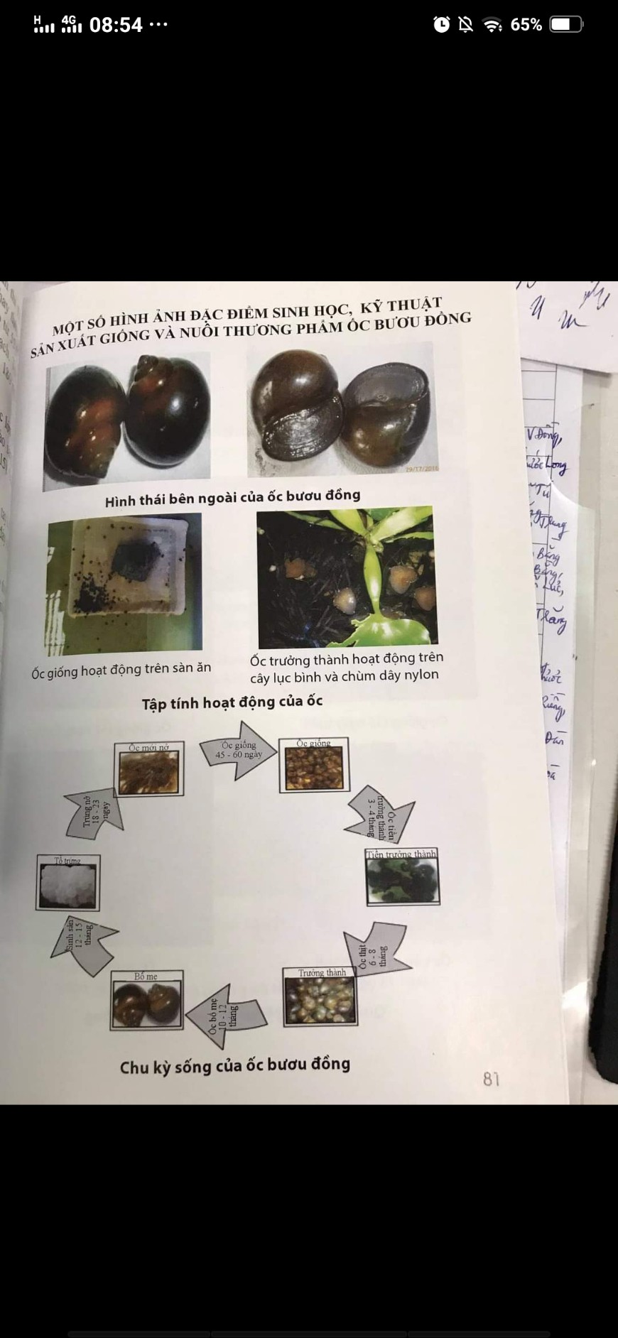 Sách nuôi ốc bươu đen (photo copy trắng đen)