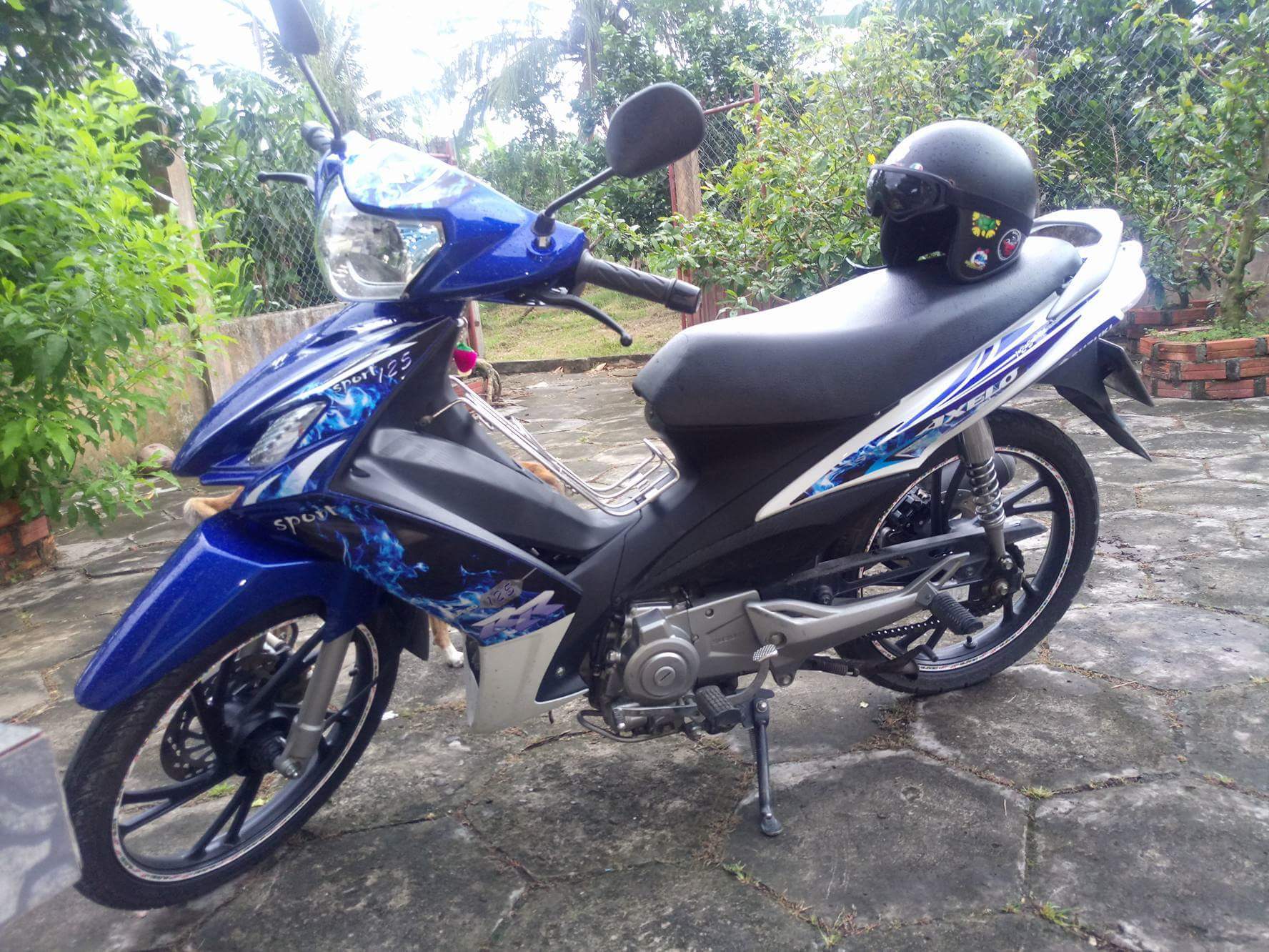 Tem rời axelo 125  khoi trang xanh