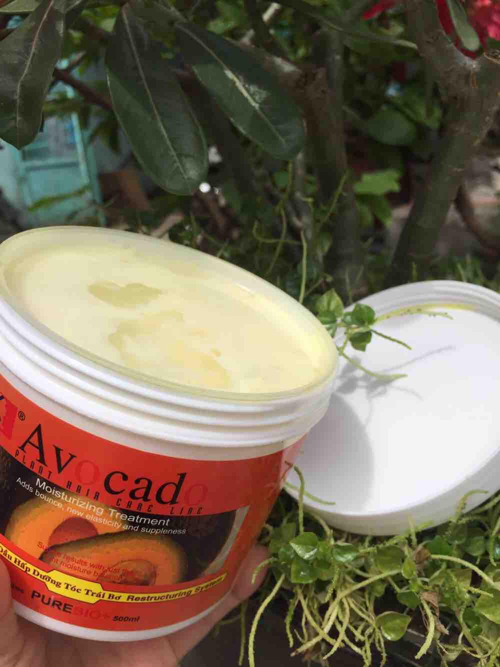 Hấp dầu trái Bơ Avocado 500 ml phục hồi tóc khô