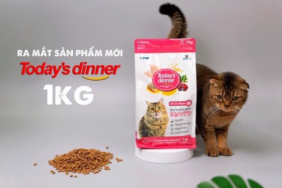 (1KG) THỨC ĂN HẠT TODAY'S DINNER CHO MÈO MỌI LỨA TUỔI