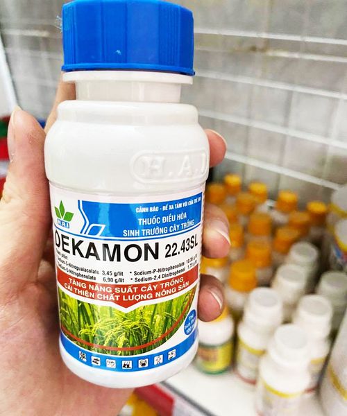 Phân bón điều hòa sinh trưởng DEKAMON chai 100ml