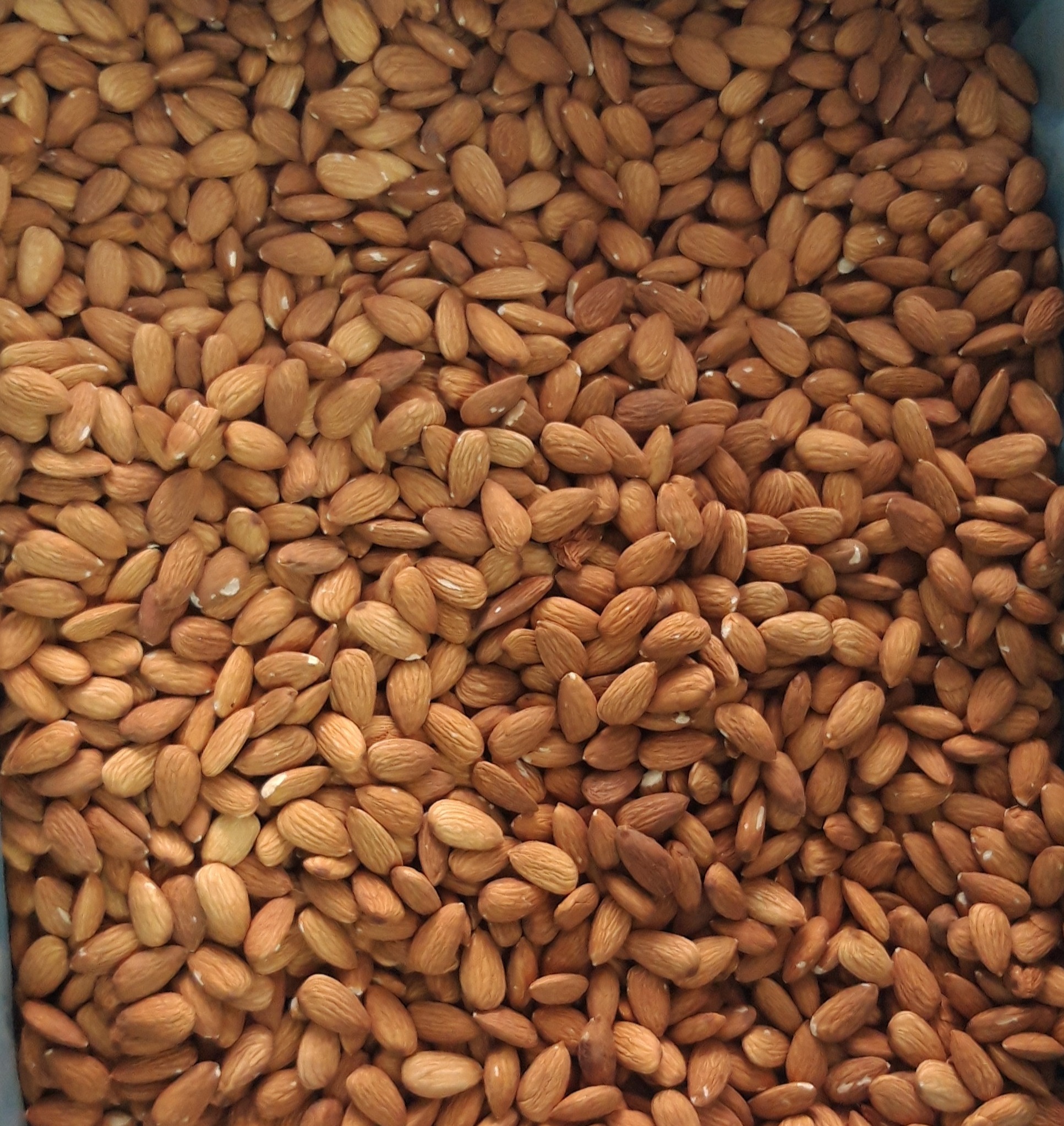 500gr HẠNH NHÂN AUSTRALIA HẠT TƯƠI