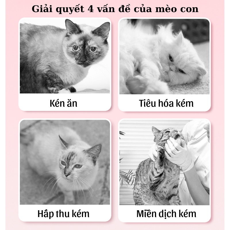 Hạt cho mẻo con Dongpet túi 1.3kg