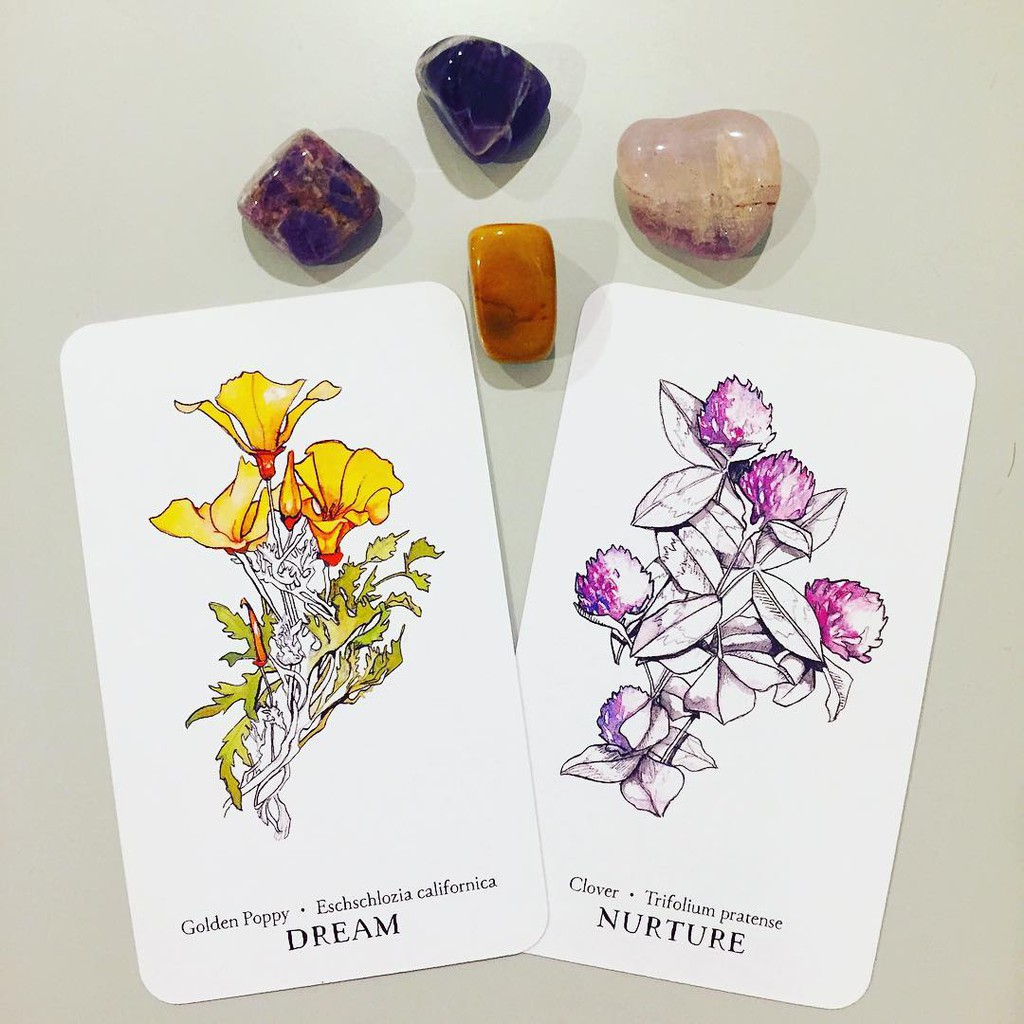 Bài Hedgewitch Botanical Oracle