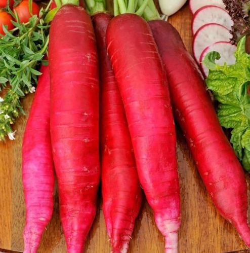 HẠT CỦ CẢI ĐỎ DÀI - GÓI 5 GRAM