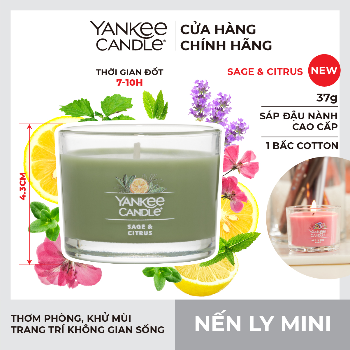 Nến ly mini Yankee Candle - Sage & Citrus
