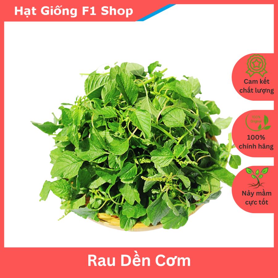 Hạt Giống Rau Dền Cơm Thân To Ăn Ngon