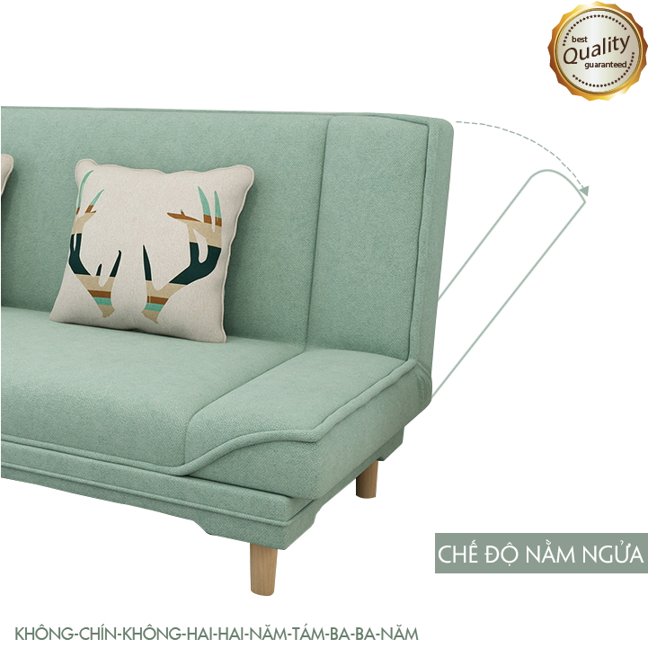 Ghế sofa gấp gọn, Ghế sofa phòng khách