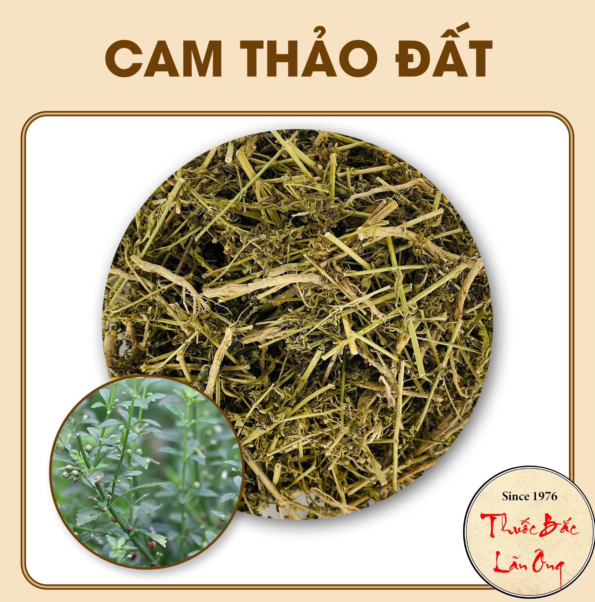 Cam thảo đất 1kg, cây cam thảo nam khô, sạch - Lãn Ông