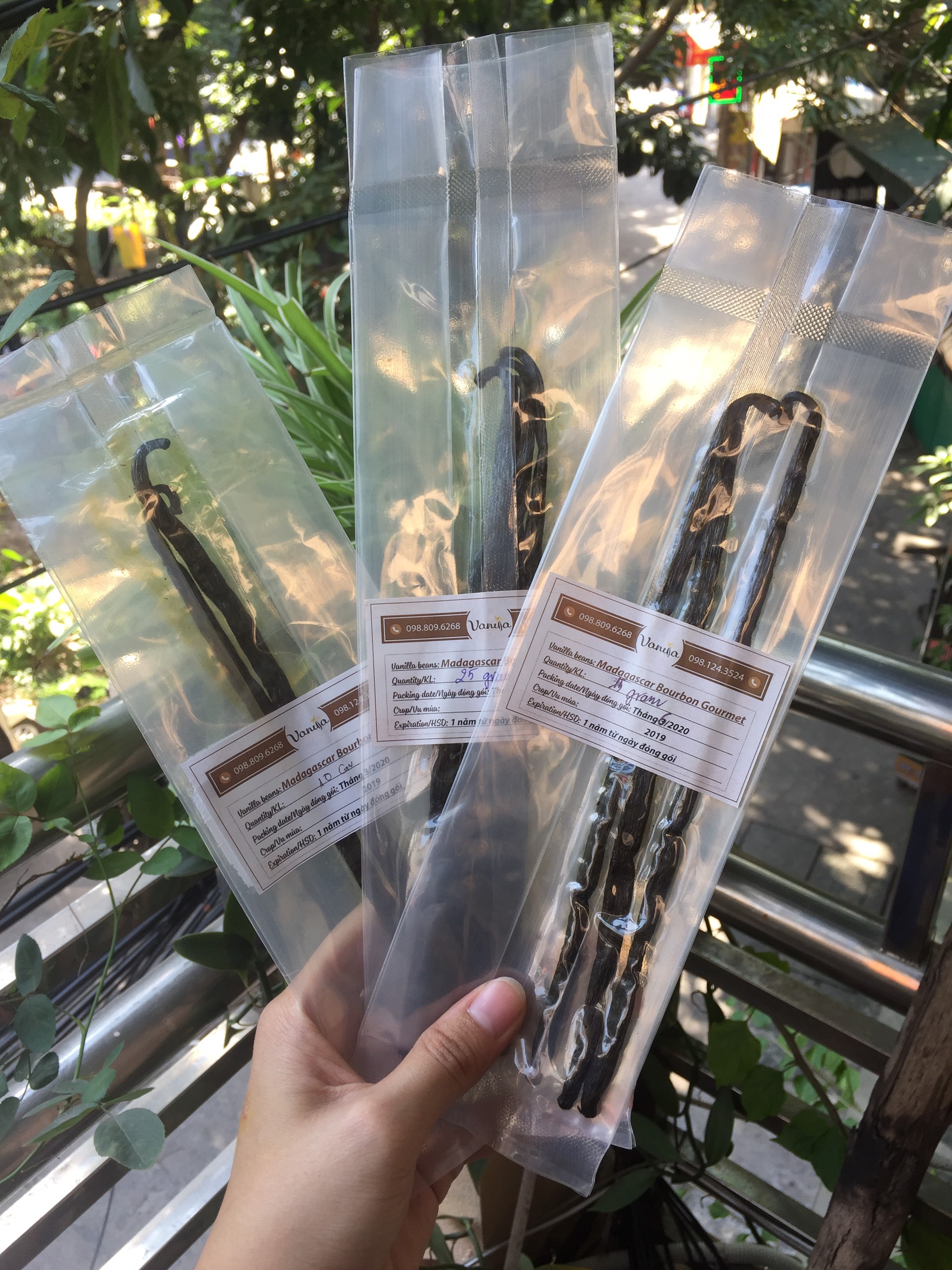 Quả Vanilla Madagascar Thượng hạng (SET 15 GRAMS)