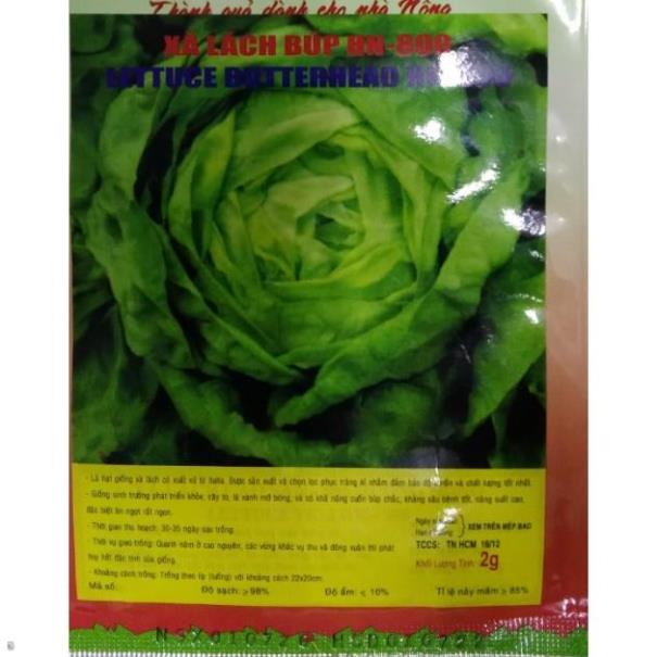 Hạt giống xà lách Búp - Gói 2 gram