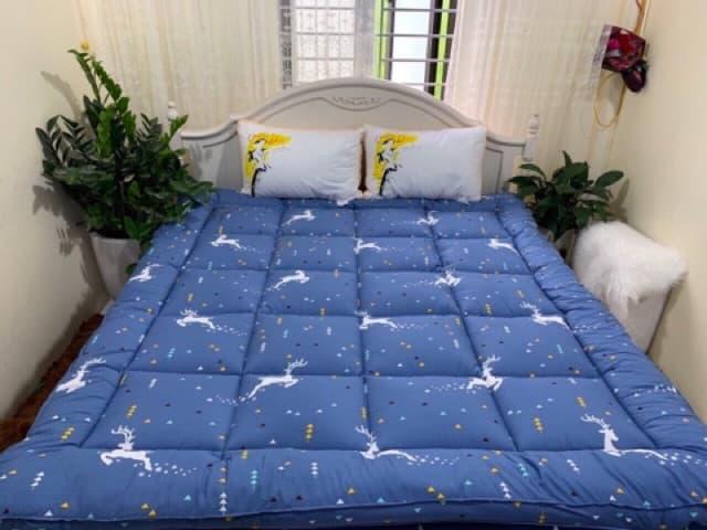 TOPPER tấm làm mềm đệm cotton hàn cao cấp