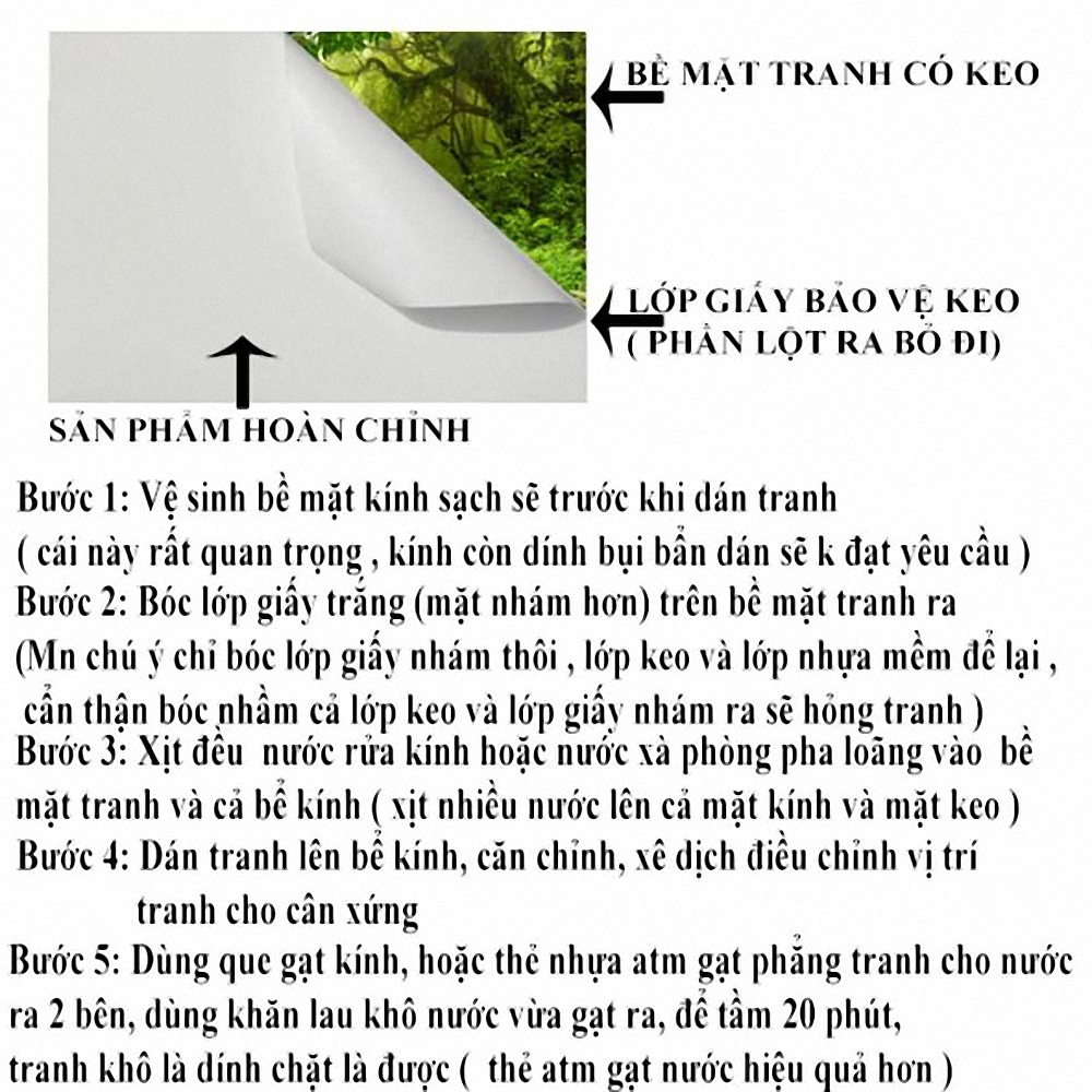 Tranh 3D dán bể cá cảnh - Có keo sẵn - Nhiều kích thướt lựa chọn