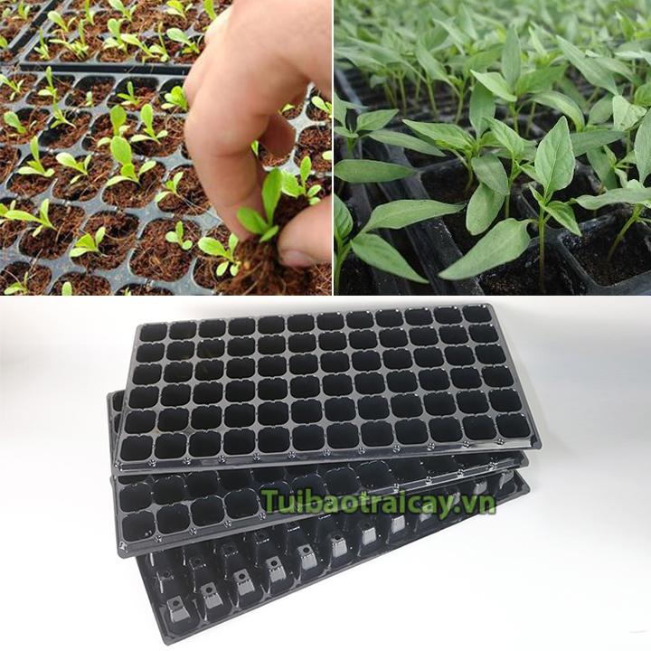 5 Khay ươm hạt giống 72 lỗ