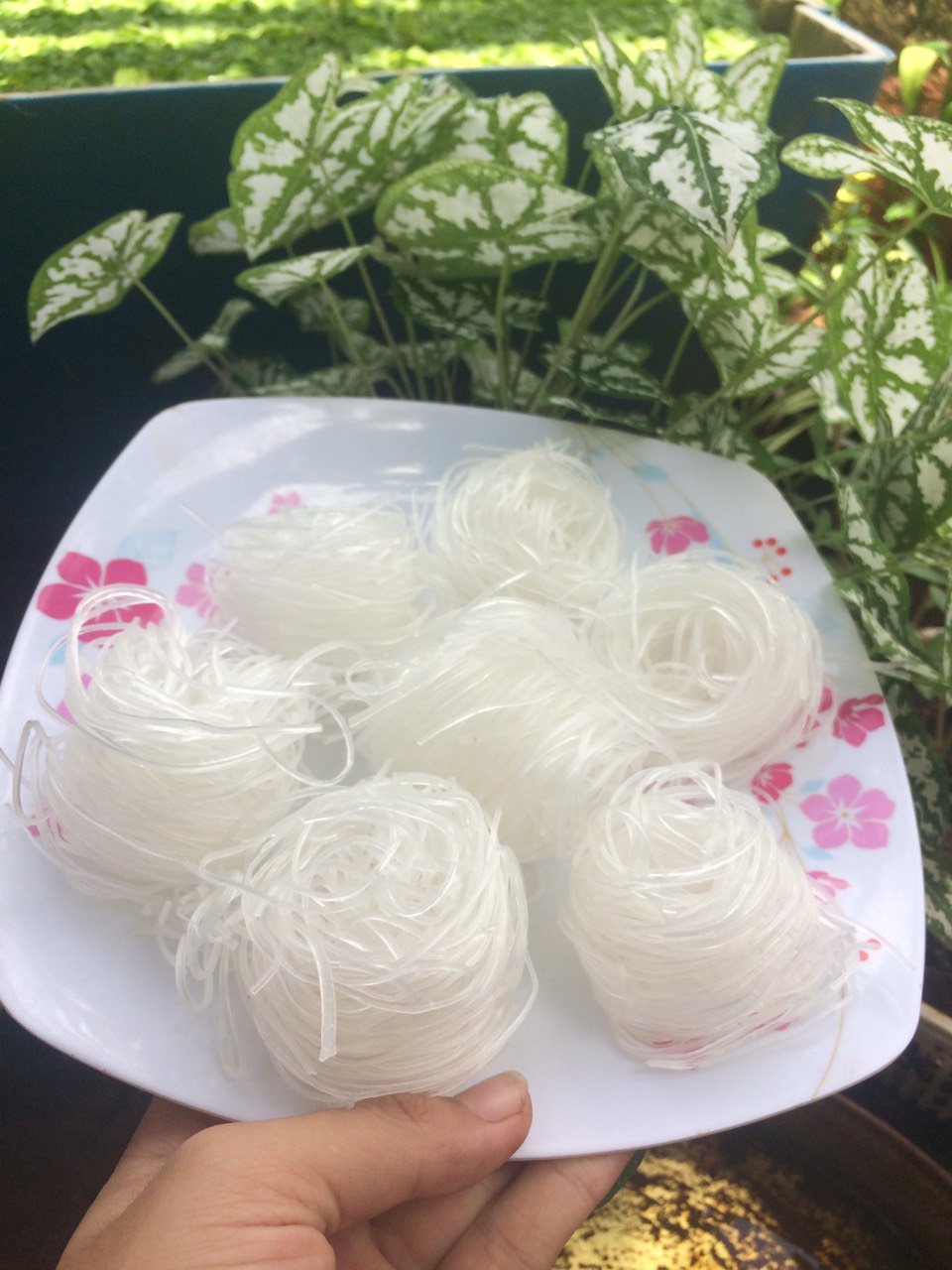Miến cuộn tròn khô (miến tàu) túi 250g