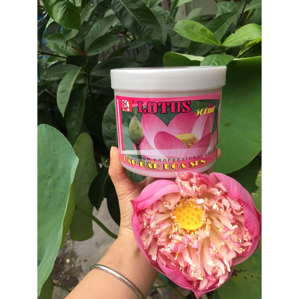 Kem Hấp Dầu Hoa Sen Lotus 500ml