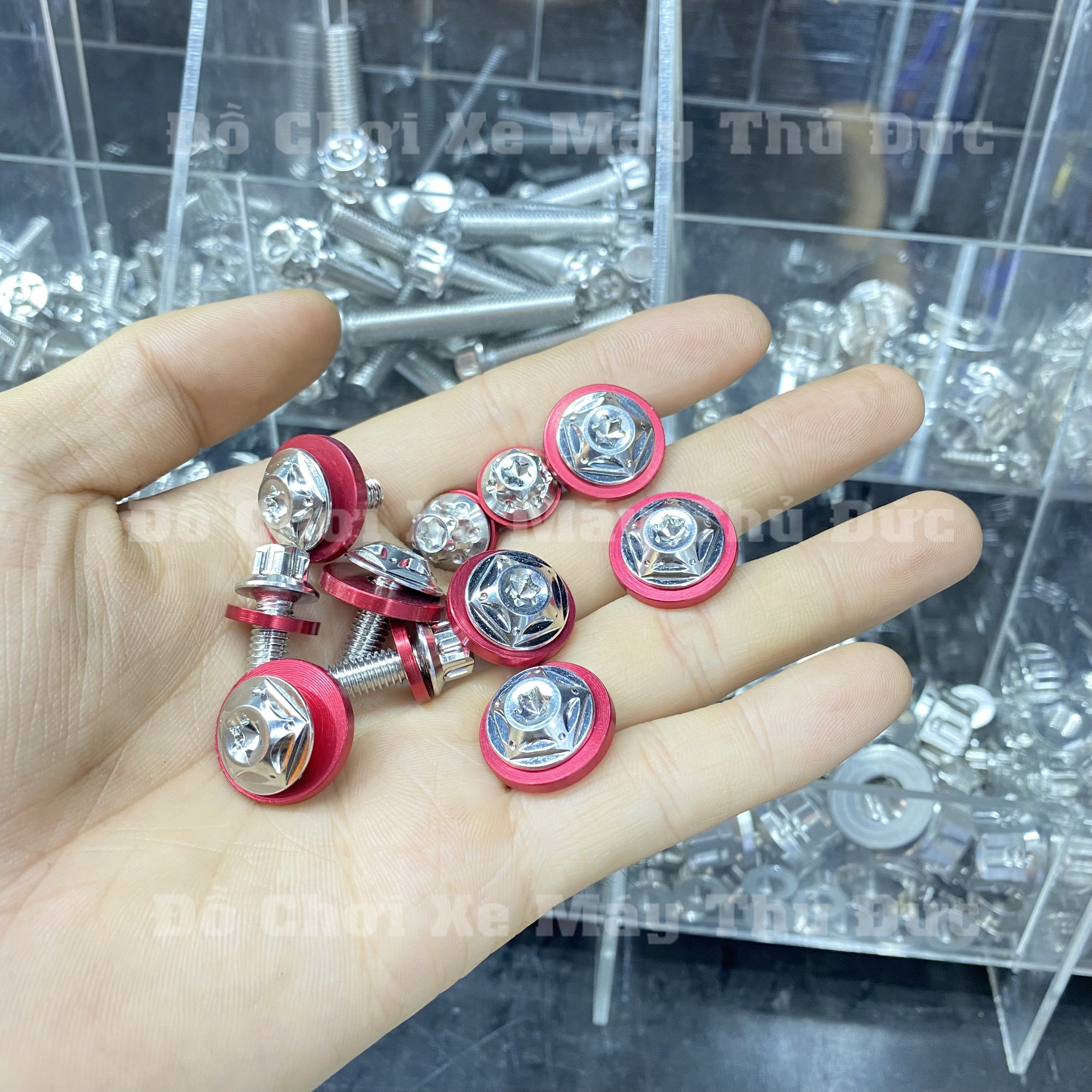 Ốc Salaya 6li 20 Gắn Dàn áo, Dè