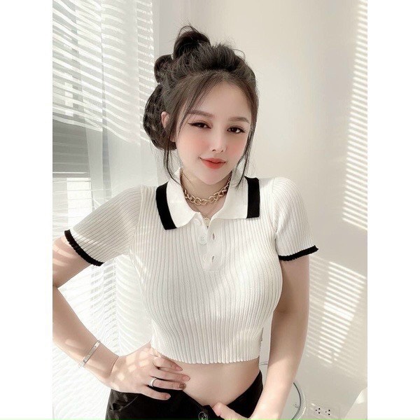 Áo gân cổ bẻ croptop 2 màu , chất thun gân len