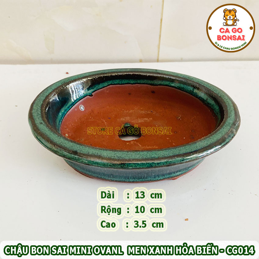 Chậu Bonsai Mini Oval Men Xanh Hỏa Biến - CG014