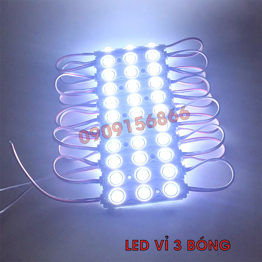 Đèn Led hắt 3 bóng 6011 điện 12v (20 bóng / vỉ)