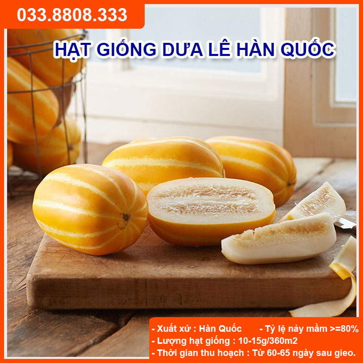 [Chính hãng] Hạt giống Dưa Lê Hàn Quốc  – 10 Hạt