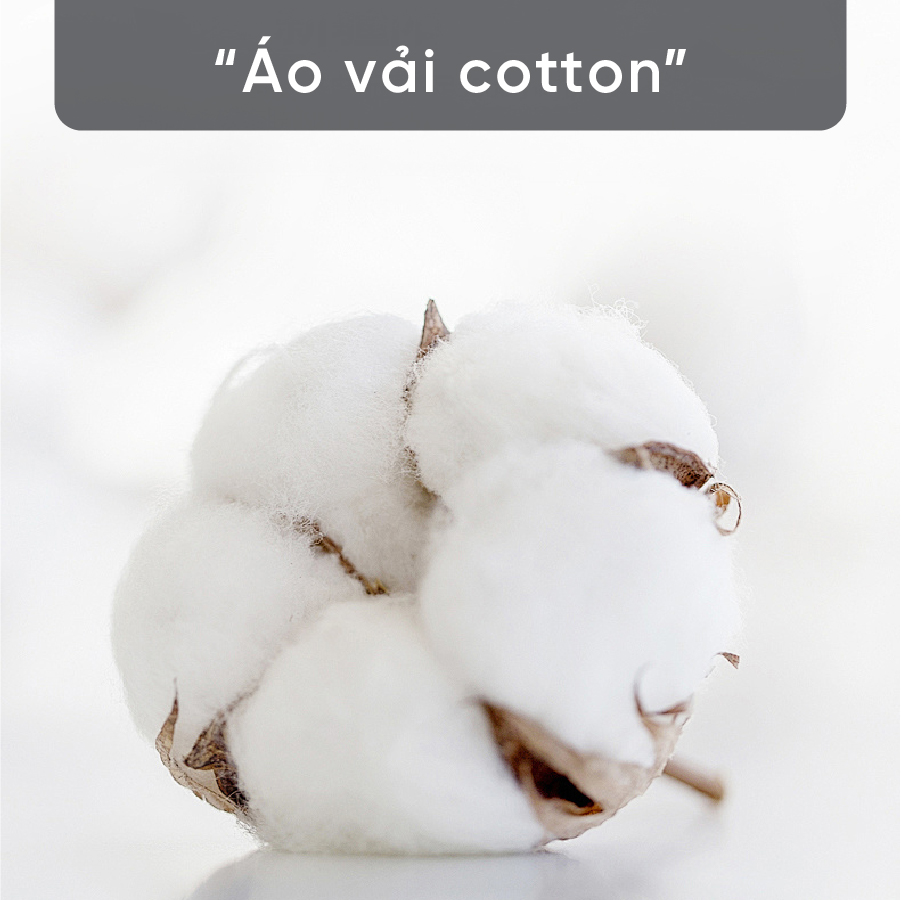 Tấm Bảo Vệ Nệm Cao Cấp Tatana, Chống Vi Khuẩn, Bụi Bẩn Bám Vào Nệm