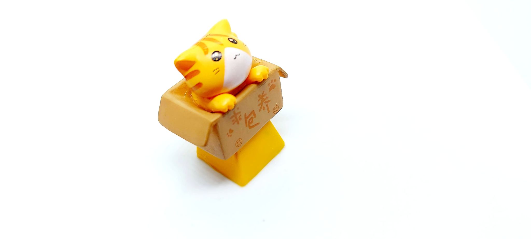 xả lỗ Keycap Cat in box trang trí bàn phím cơ gaming.