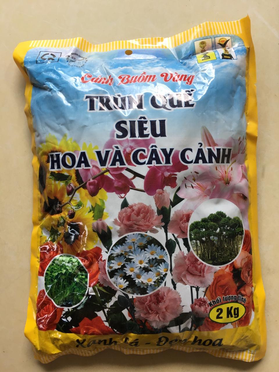 Trùn quế siêu hoa và cây cảnh 2kg