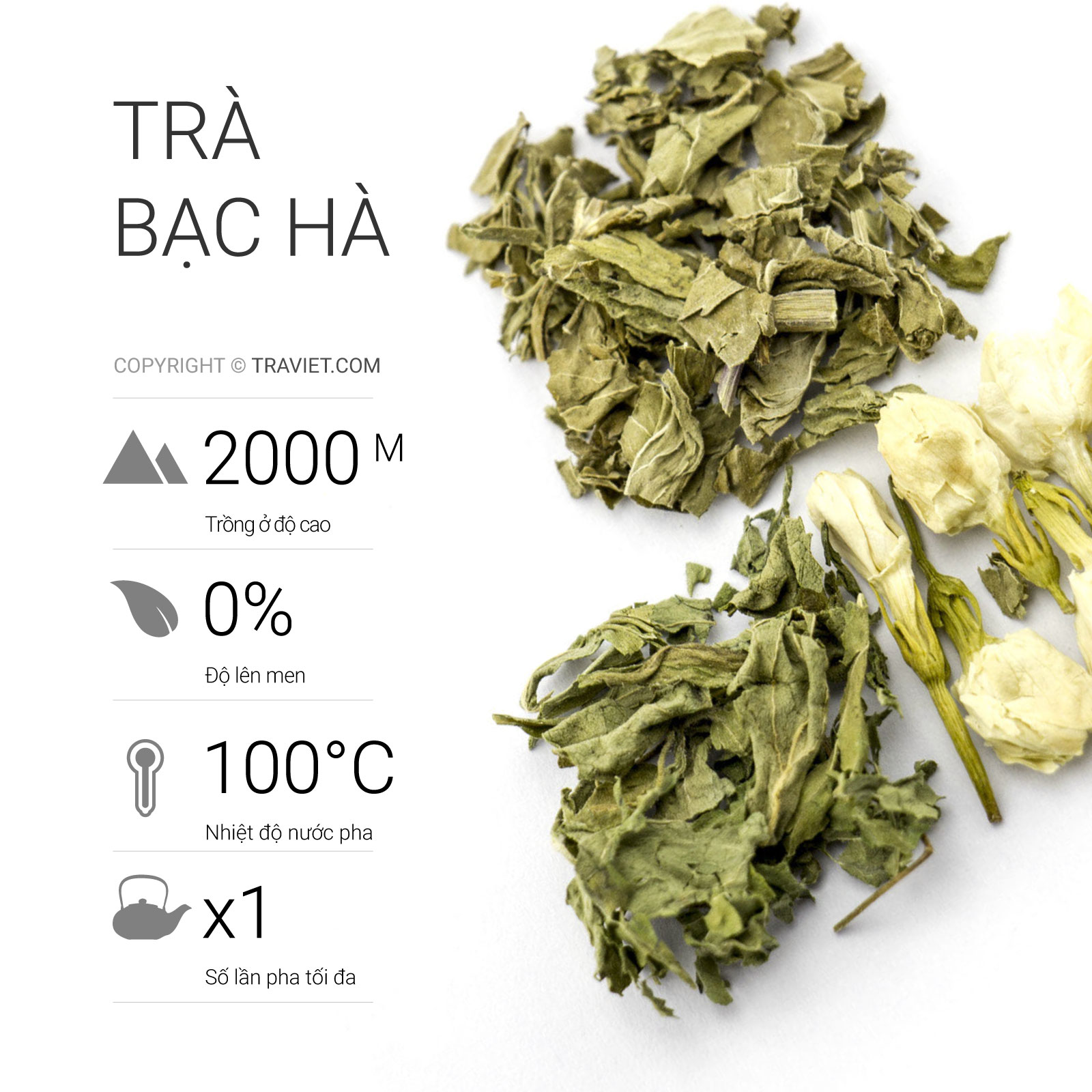 TRÀ VIỆT - Hộp Trà Bạc Hà Cao Cấp 2.5g/ 10 túi