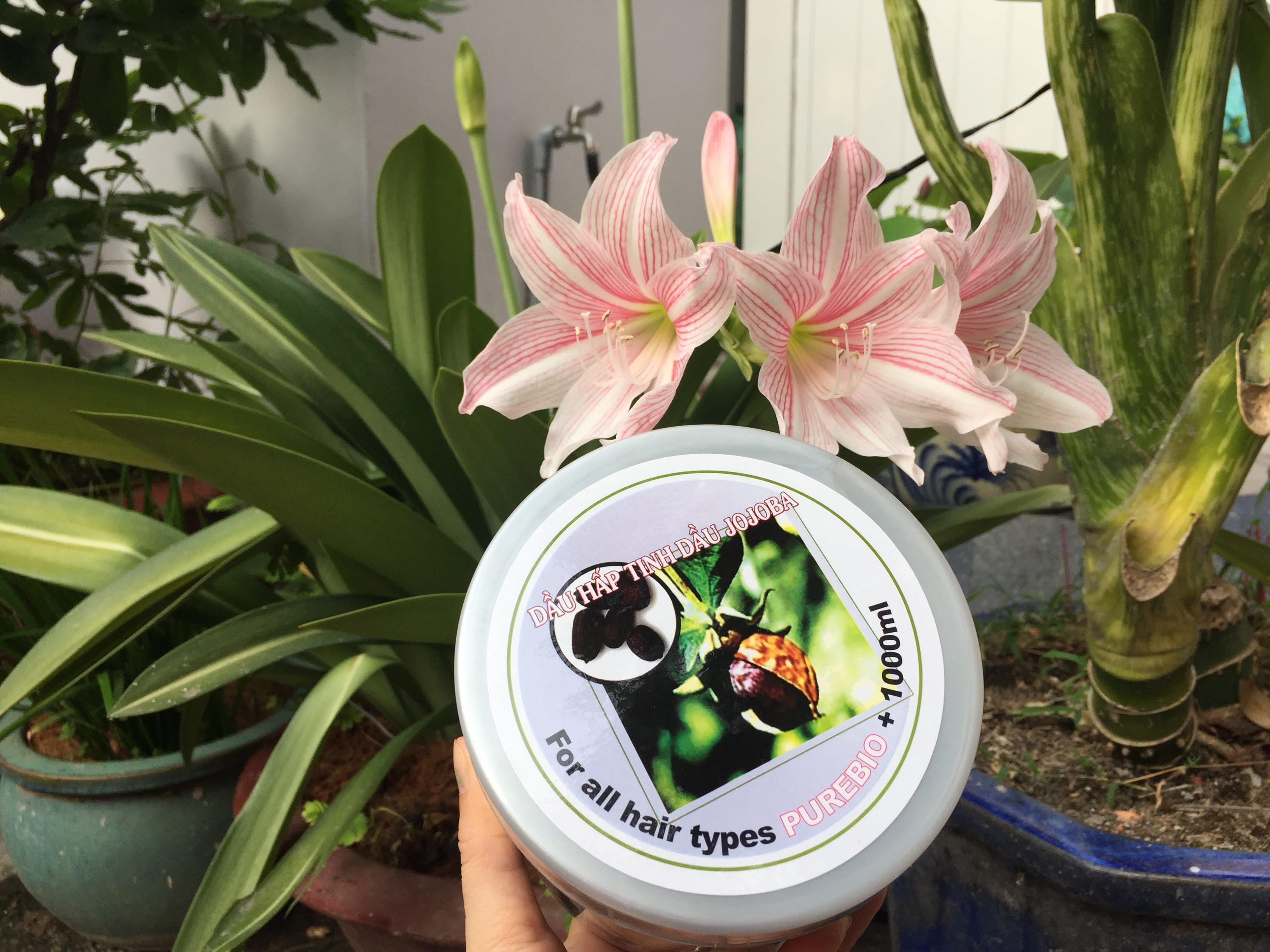 Hấp dầu mượt tóc Jojoba 1000 ml
