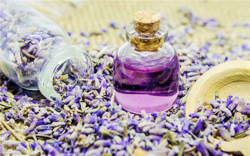 Tinh dầu hoa oải hương Lavender (100ml)