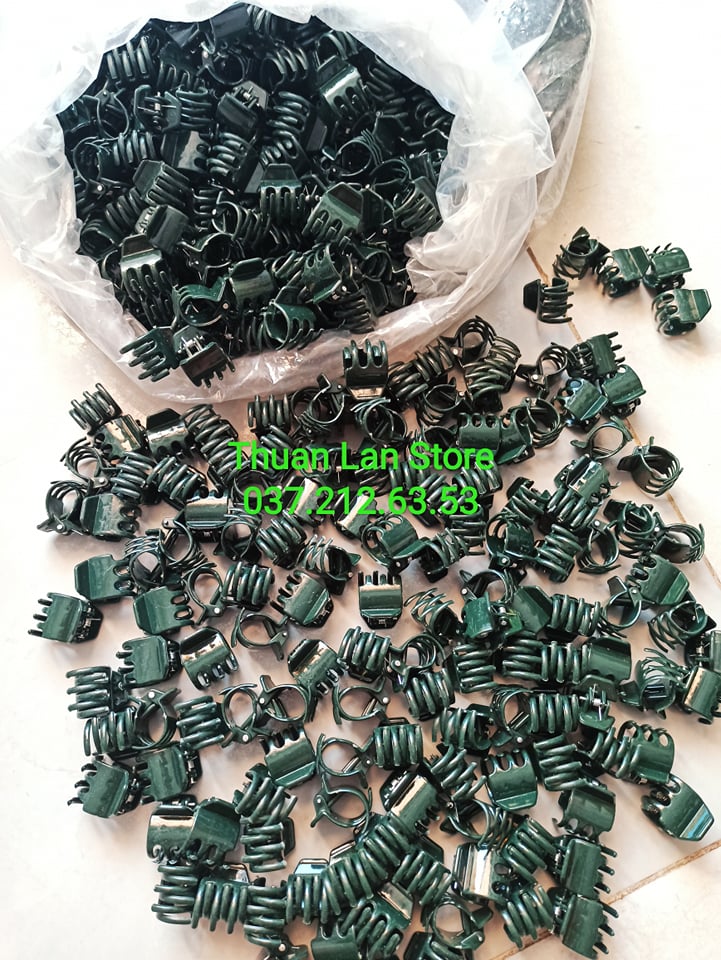 Set 20c Kẹp Bướm Cố Định Lan Size Đại