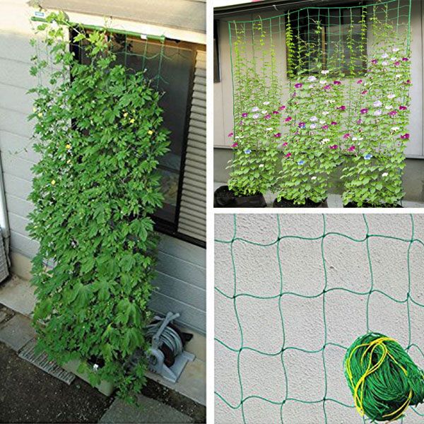 Lưới làm giàn dây leo Ollie net FL-1ON