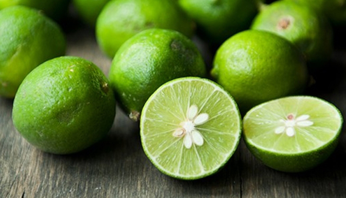 CÂY GIỐNG CHANH TA. [ Chanh có hạt hoặc ít hạt ]