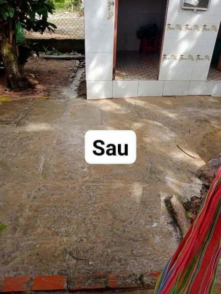 Bột tẩy rong rêu