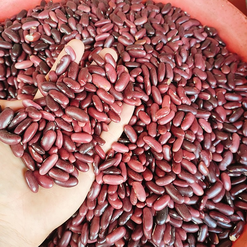 1 kg ĐẬU ĐỎ SẠCH ĐÀ LẠT HẠT TO NGON( LOẠI KHÔ)  ĐẬU ĐỎ