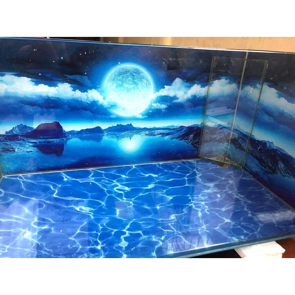 Tranh 3d dán bể cá thủy sinh, bể cá rồng