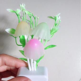Đèn ngủ/Bóng Đèn cảm ứng ánh sáng hình nấm