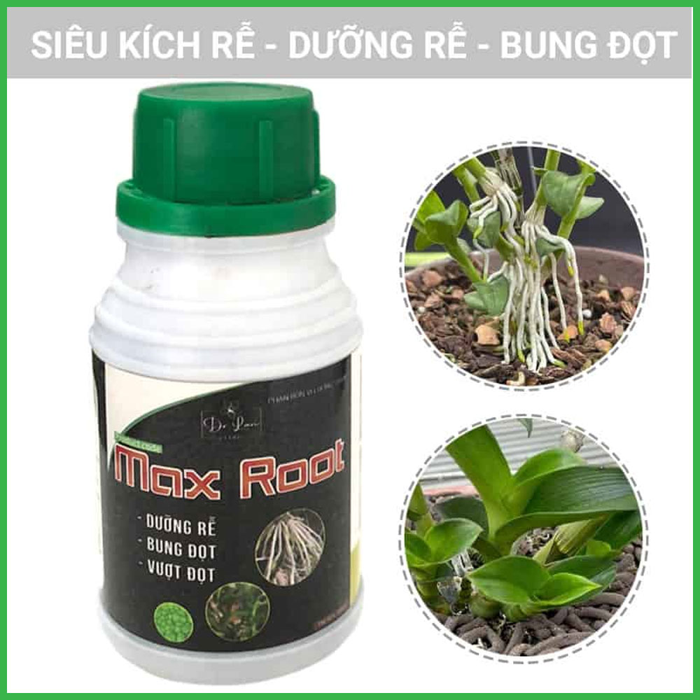 Phân Bón Max Root Siêu Kích Rễ - Dưỡng Rễ Và Bung Đọt