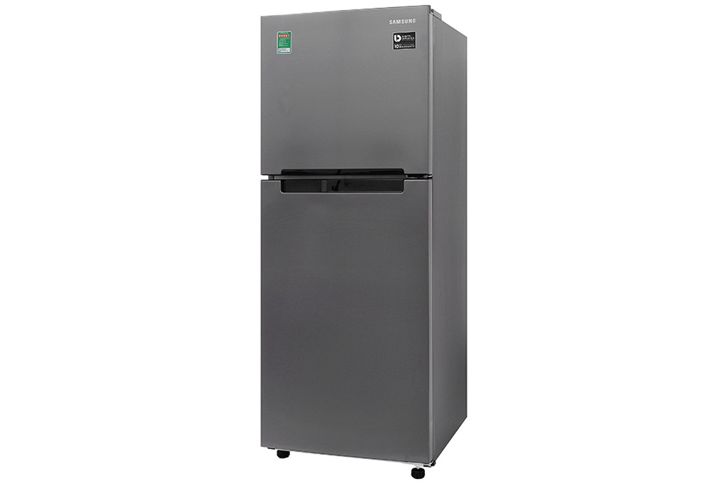 Tủ lạnh Samsung Inverter RT19M300BGS/SV