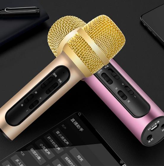 Micro C11 Hát Live Stream Chuyên Nghiệp