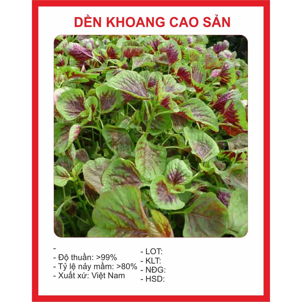 Hạt giống rau dền khoang-gói 20gram-nãy mầm đều