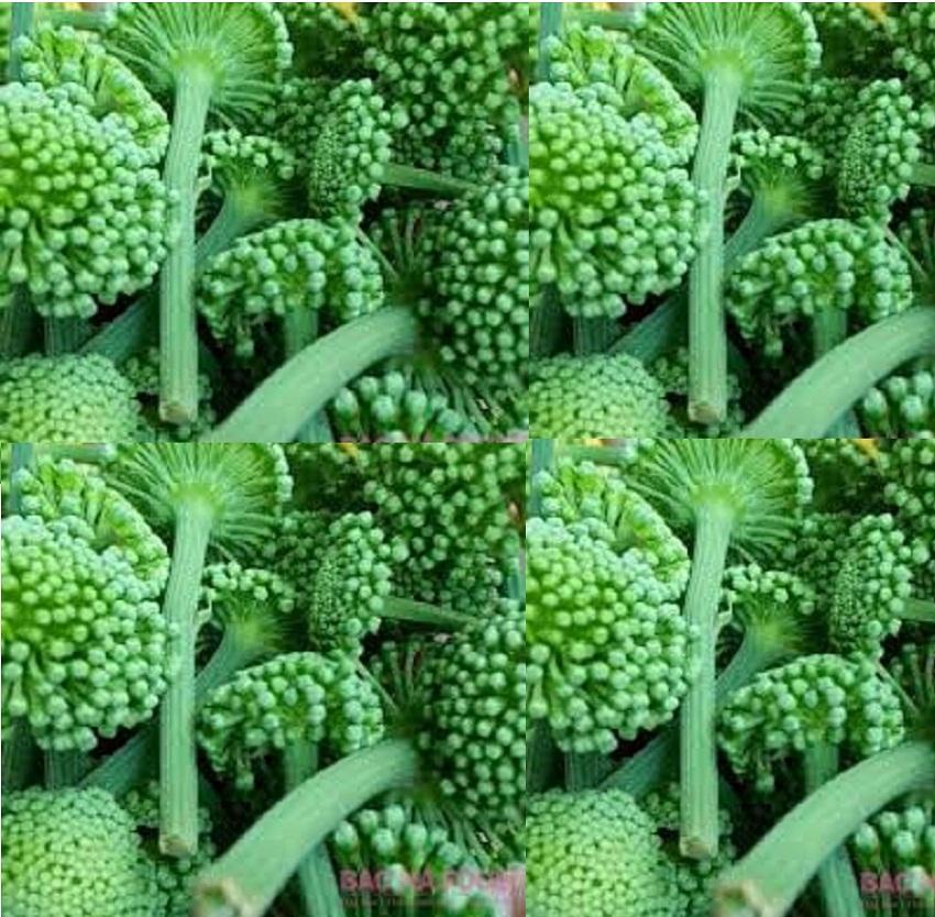 100 g Củ Tam Thất Bắc Khô